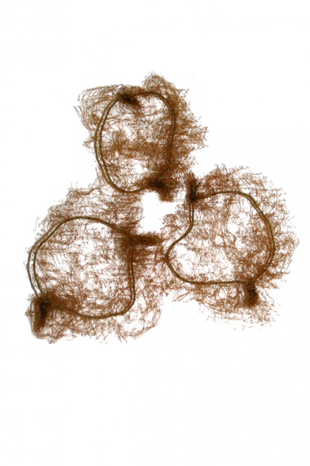 Roch Valley Pack of 3 Bun Nets